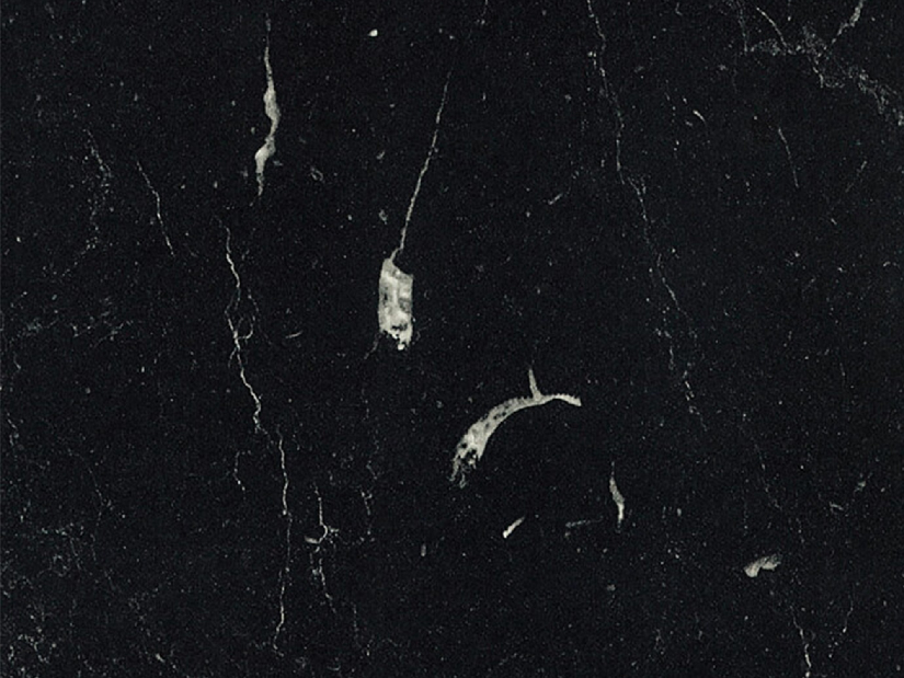 Dvierka na umývačku riadu Lesana 1 (biela) ZM 570x446 