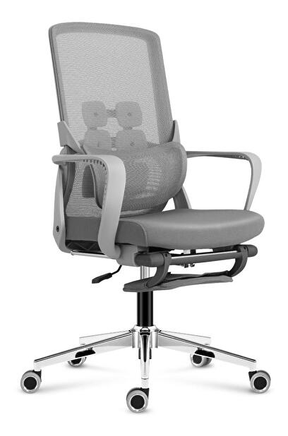 Kancelárska stolička Matryx 3.6 (sivá)