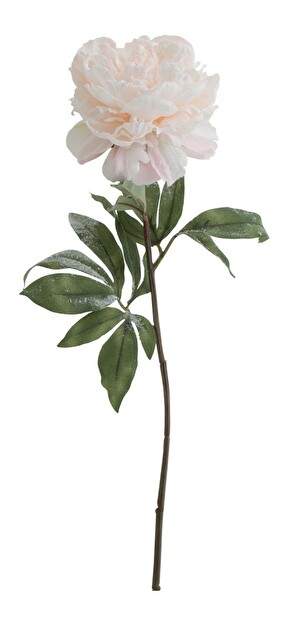 Kvetina Jolipa Ruža (71x0x0cm) (Lososová)