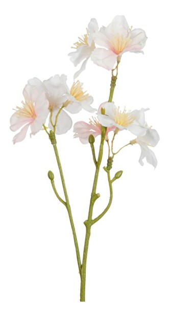 Kvetina Jolipa (S) (Fuchsia)