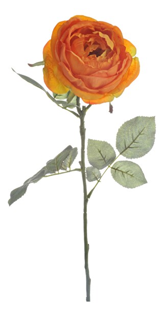 Kvetina Jolipa Ruža (75x0x0cm) (Oranžová)