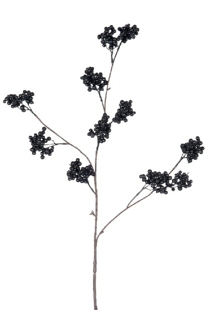 Kvetina Jolipa (Čierna)