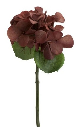 Kvetina Jolipa Hortenzia / Hydrangea (33x0x0cm) (Hnedá)