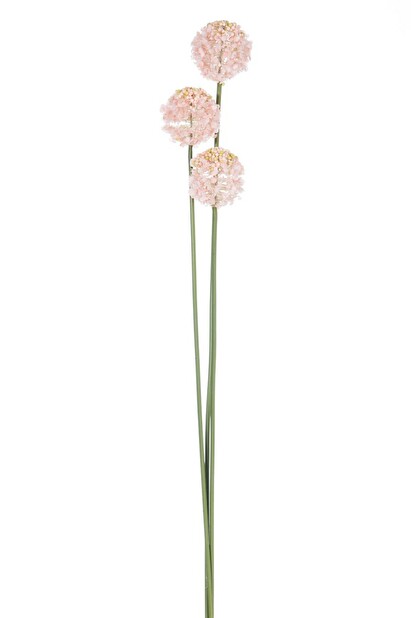 Kvetina Jolipa (5x5x84cm) (Lososová)