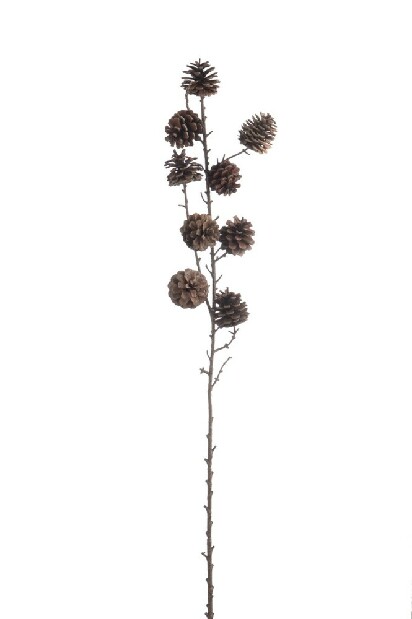 Kvetina Jolipa Vetvička Woody Hazelnut (15x12x82cm) (Hnedá)