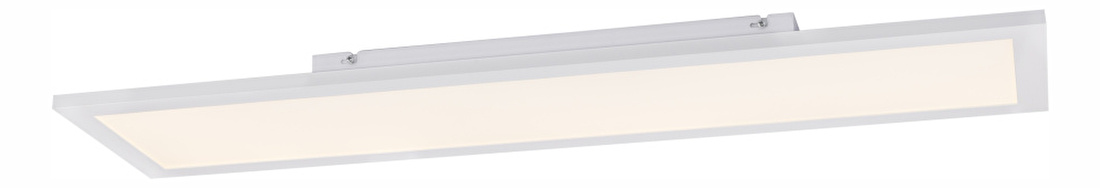 Stropné/nástenné svietidlo LED Rosi 41604D4 (biela + opál)