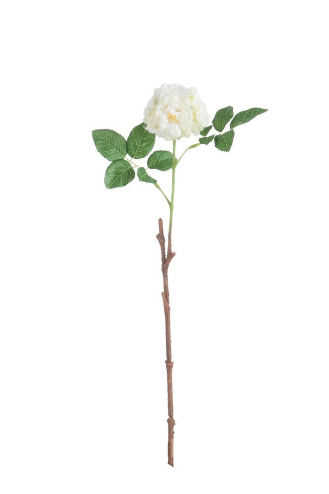 Kvetina Jolipa Ruža (15x7x45cm) (Biela)