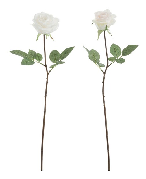 Kvetina Jolipa Ruža Innocent Blush (13x13x69cm) (Fuchsia) (2ks)