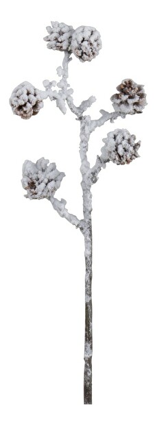 Kvetina Jolipa Vetvička Natural White Forest (58x0x0cm) (Hnedá)