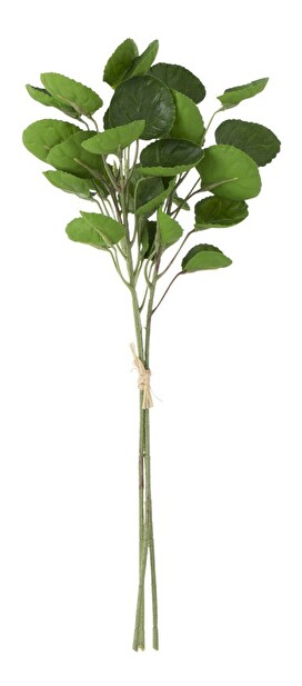 Kvetina Jolipa (10x10x38cm) (Zelená)