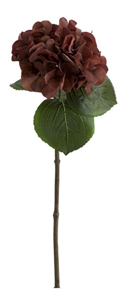 Kvetina Jolipa Hortenzia / Hydrangea (61x0x0cm) (Hnedá)
