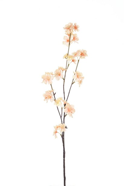 Kvetina Jolipa (6x3x80cm) (Lososová)