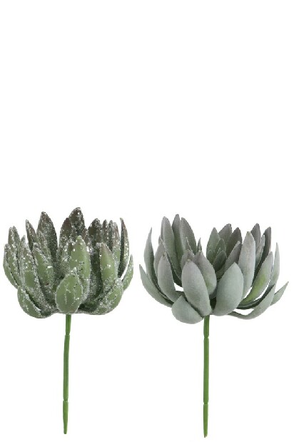 Kvetina Jolipa (12x12x21cm) (Zelená) (2ks)