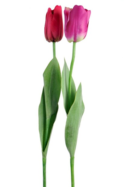 Kvetina Jolipa Tulipán (74x0x0cm) (Fuchsia) (2ks)