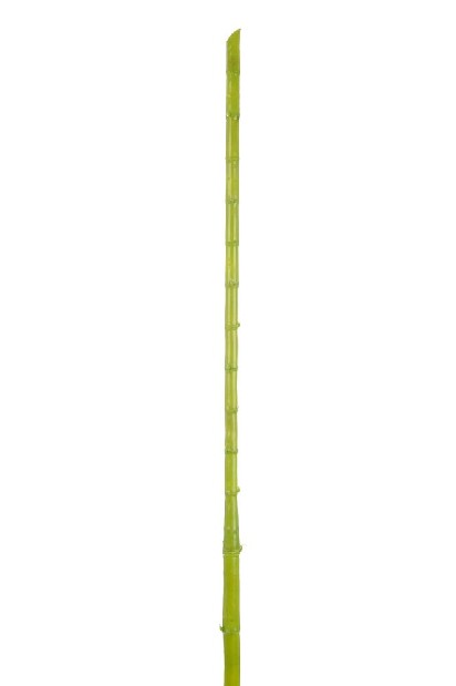 Kvetina Jolipa Vetvička (185x15x10cm) (Zelená)