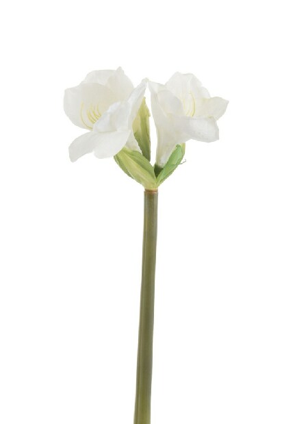 Kvetina Jolipa Amarylis (13x13x55cm) (Biela)