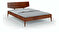 Manželská posteľ 140 cm Scandinavian (bez roštu a matraca) (orech)