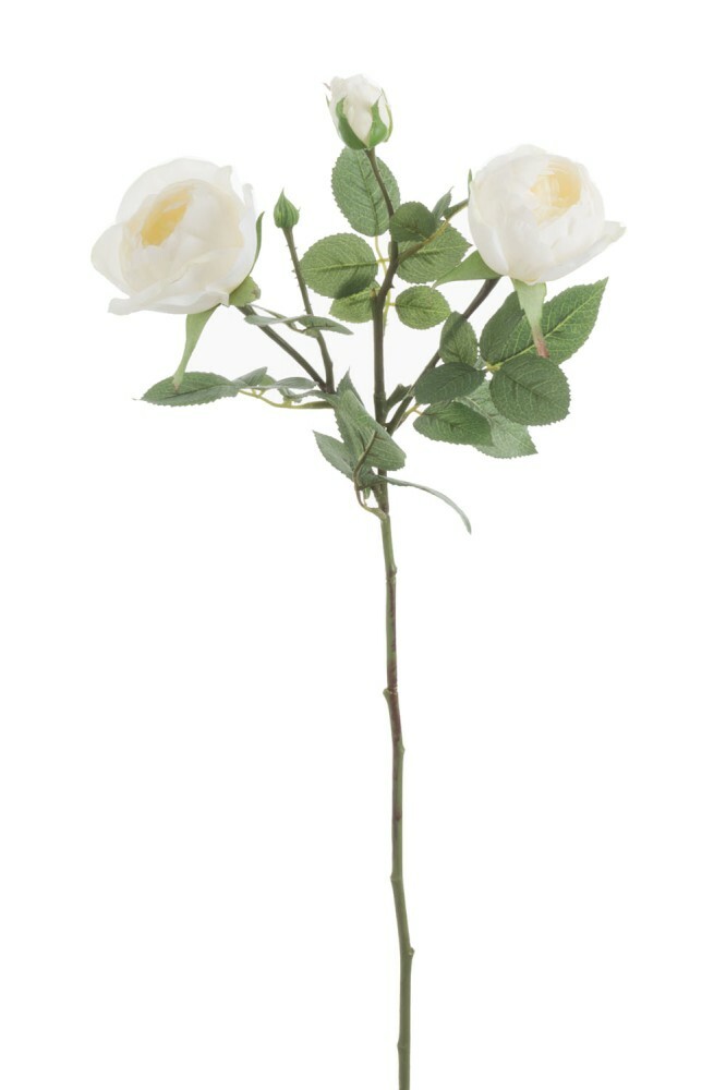Kvetina Jolipa Ruža (15x15x61cm) (Biela)