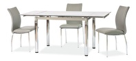 Rozkladací jedálenský stôl 110-170 cm Gerardo (sivá + chrómová) (pre 4 až 6 osôb)