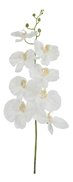 Kvetina Jolipa Orchidea (84x0x0cm) (Biela)