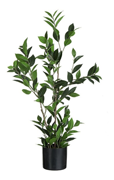 Kvetina Jolipa Črepniková rastlina Monde Sauvage (18x18x90cm) (Zelená)