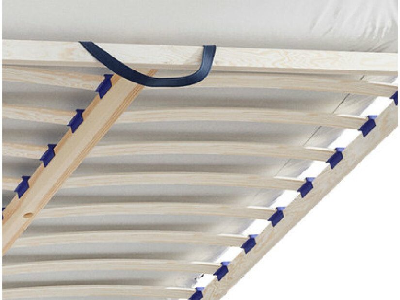 Čalúnená posteľ s kontajnerom Waverly (160x200) (Fresh 01)