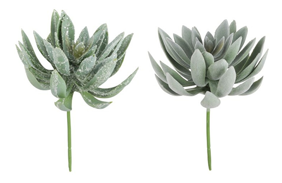 Kvetina Jolipa Mystical Mint (21x0x0cm) (Zelená) (2ks)