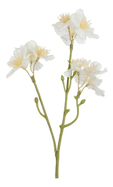 Kvetina Jolipa (S) (Biela)