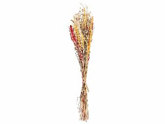 Kytica sušených kvetov Pamza (červená)