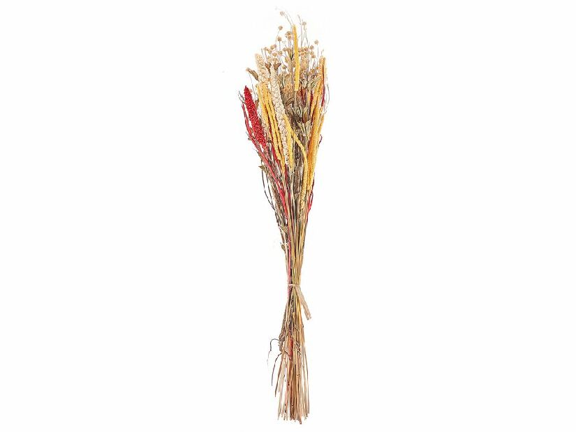 Kytica sušených kvetov Pamza (červená)