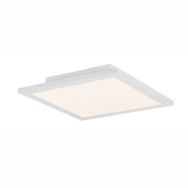Stropné/nástenné svietidlo LED Rosi 41604D1D (biela + opál)