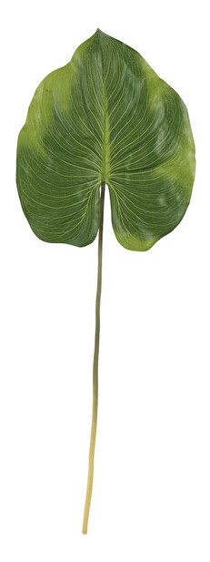 Vetvička Jolipa Raw Ethnic (zelená) 85cm 