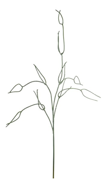 Kvetina Jolipa Vetvička Sophisticated Delights (20x20x94cm) (Zelená)