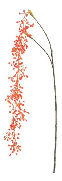 Kvetina Jolipa (1x1x99cm) (Oranžová)