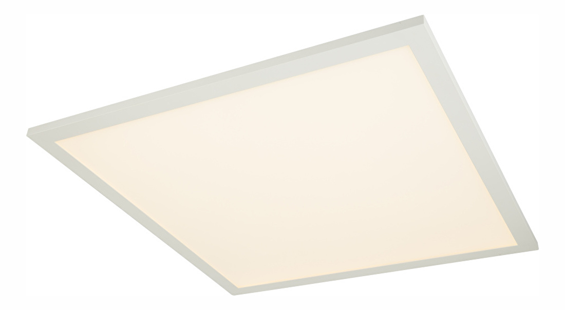 Stropné/nástenné svietidlo LED Rosi 41604D5 (biela + opál)