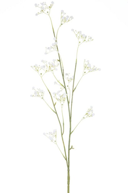 Kvetina Jolipa (5x3x85cm) (Biela)