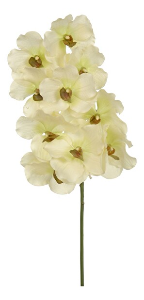 Kvetina Jolipa Orchidea (Biela)