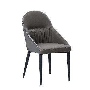 Jedálenská stolička Saflor (sivá + kov)