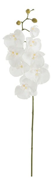 Kvetina Jolipa Orchidea (18x8x103cm) (Biela)