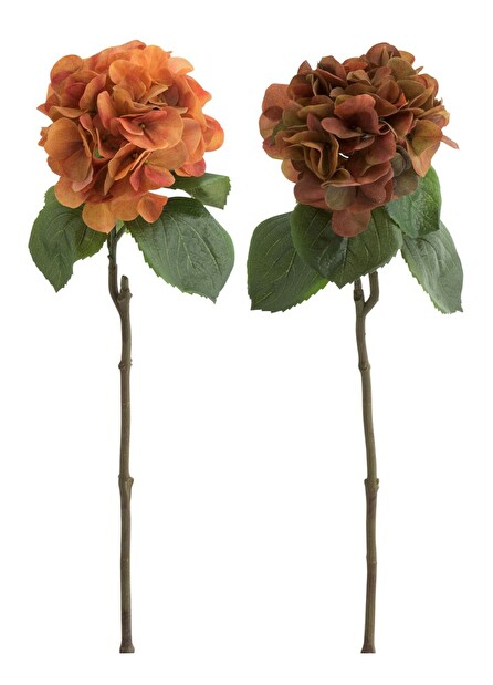 Kvetina Jolipa Hortenzia / Hydrangea (61x0x0cm) (Oranžová) (2ks)