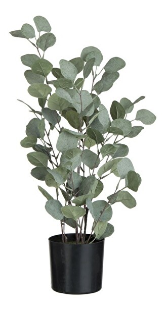 Kvetina Jolipa Črepniková rastlina Mystical Mint (15x15x60cm) (Zelená)