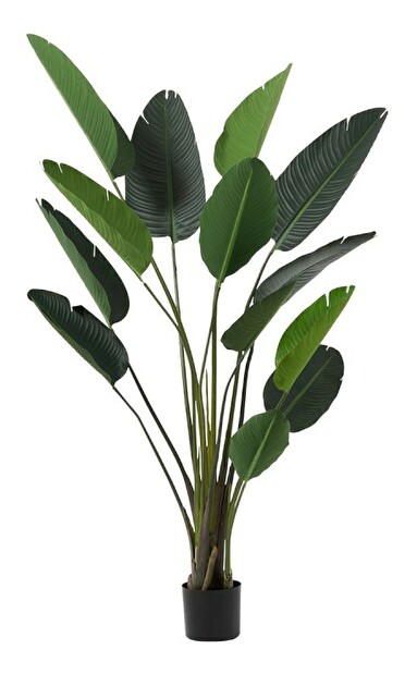 Kvetina Jolipa Skip Raw Ethnic (89x60x180cm) (Zelená)