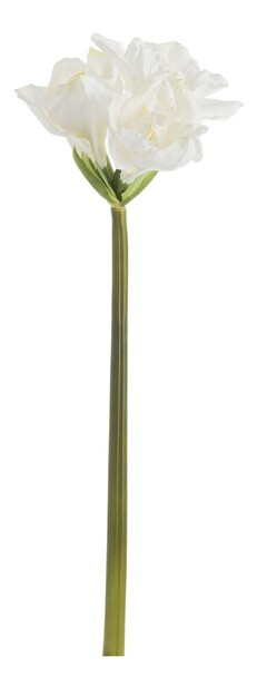Kvetina Jolipa Amarylis (20x18x81cm) (Biela)