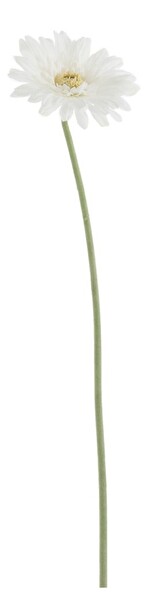 Kvetina Jolipa Gerbera (10x10x64cm) (Biela)