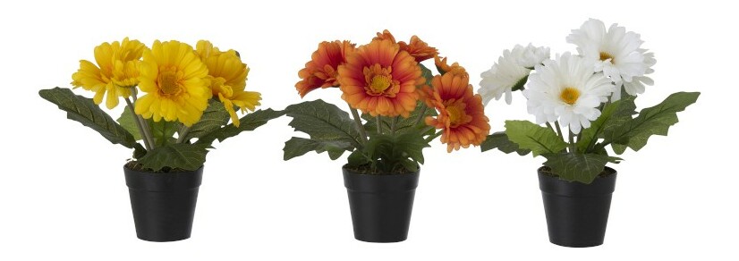 Kvetina Jolipa Gerbera Happy Tangerine (10x10x30cm) (Viacfarebná) (3ks)