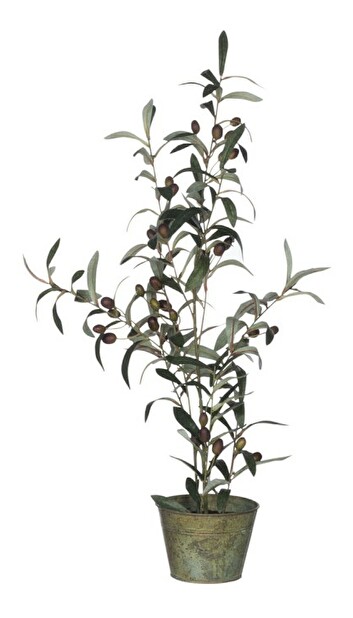 Kvetina Jolipa Strom (22x22x68cm) (Zelená)