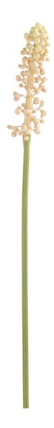 Kvetina Jolipa (1x1x86cm) (Fuchsia)