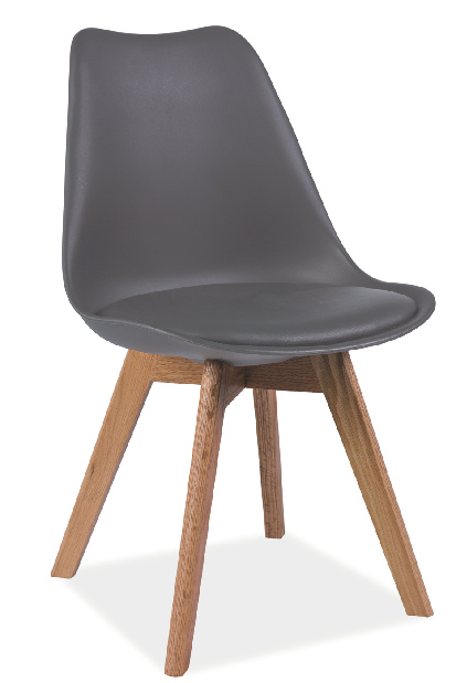 Jedálenská stolička Aste (sivá + dub)