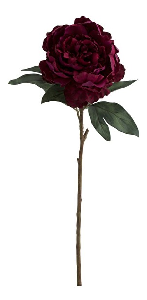 Kvetina Jolipa Ruža (71x0x0cm) (Ružová)