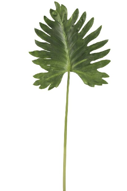 Vetvička Jolipa Raw Ethnic (zelená) 106cm 